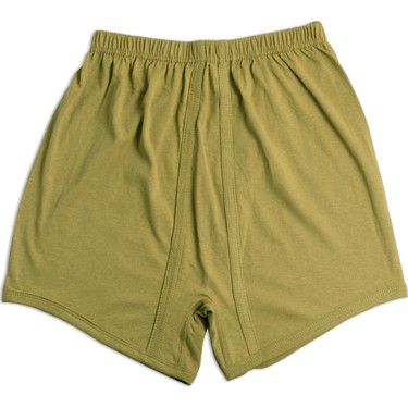 Kara Kuvvetleri Komutanlığı Don